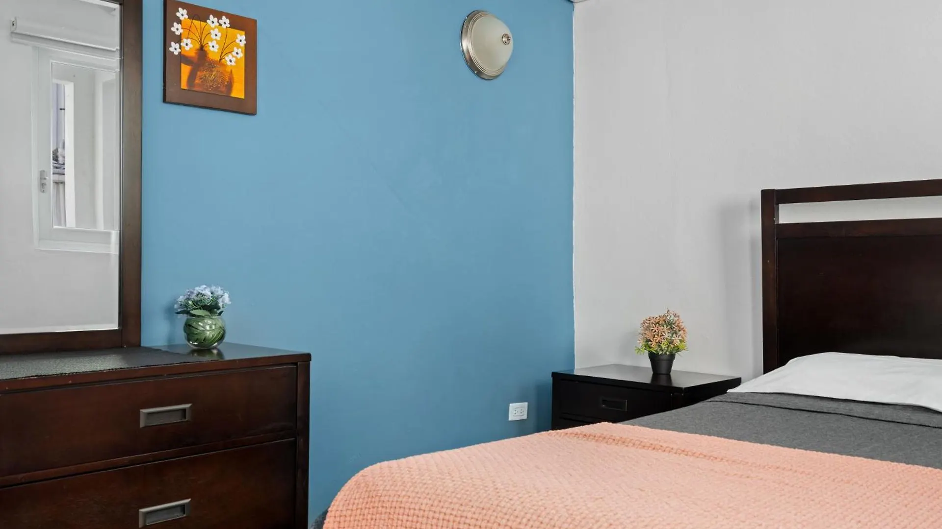 Otium With Pool Pet Friendly Near The Beach San Juan Puerto Rico